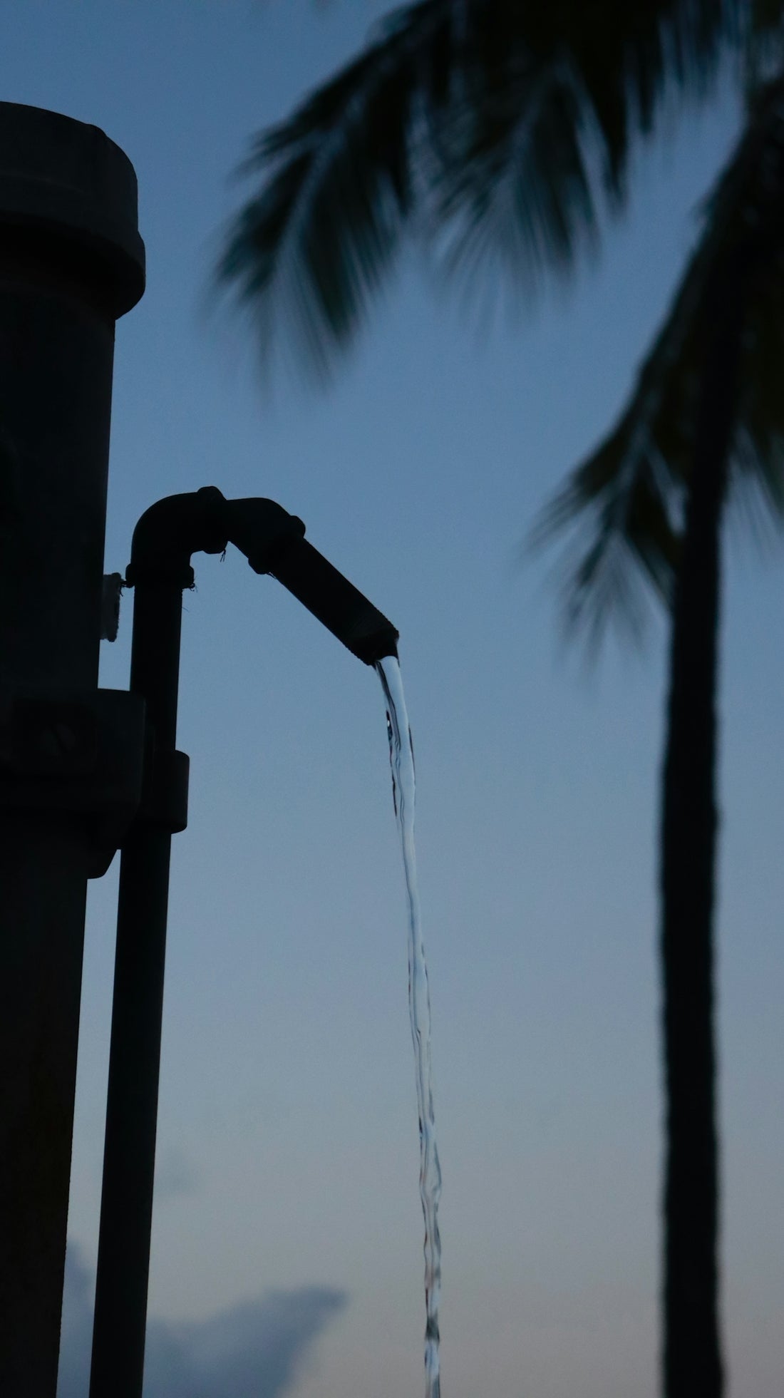 A faucet with a palm tree in the background