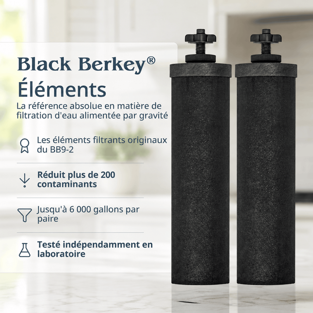 Fontaine berkey filtration Royal Berkey® 12.3 litres - 2 filtres Black Berkey® - Ref RB4X2-BB Berkey
