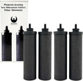 Carbon filters phoenix Berkey Phoenix Gravity New Millennium Edition™ 4 Filters Elements Berkey