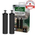 Monderma éléments de filtration Monderma Black filters - cartouche filtration MD-black-filter-2, 12 mois, alternative berkey Monderma waterfilters